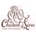 Chesvet Line logo