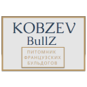 KOBZEVBULLZ logo