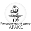 Аракс logo