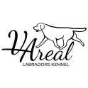 VAreal logo