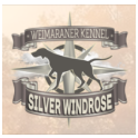 Silver Windrose logo