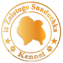 Из Золотого Сундучка logo