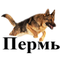 РОО ЦС ПК logo