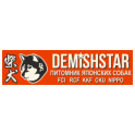 DemishStar logo