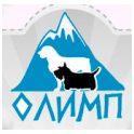 СОКС "Олимп" logo