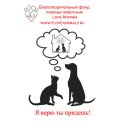 Тверской приют для безнадзорных животных logo