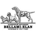 Bellami-Elan logo