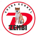 Дземби logo