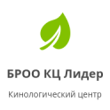 БРОО КЦ "Лидер" logo