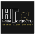 Наша Гордость (Nasha Gordost) logo