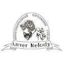 Amver Melody logo