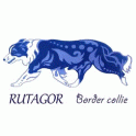 Rutagor logo