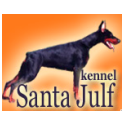 Santa Julf logo