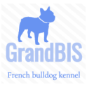 GrandBIS logo