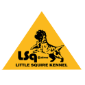 Little Squire logo