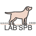 Lab'SPb logo