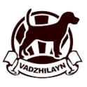 Ваджилайн logo