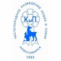 НГОО "Клуб Кот и Пёс" logo