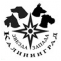 КРКФОО "Звезда Запада-Калининград" logo