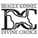Divine Choice logo