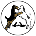 Из Петергофа logo