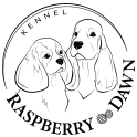 Raspberry Dawn logo