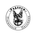 Радонеж logo