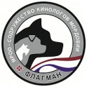 МРОО СКМ "Флагман" logo