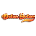 Delen Solar logo