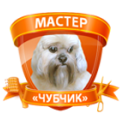 Мастер Чубчик logo
