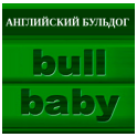 Bull Baby logo