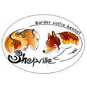 Shepville logo