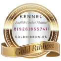 Goldribbon logo