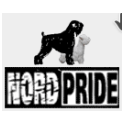 Nord Pride logo