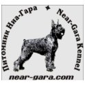 Ниа-Гара logo