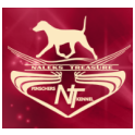 Naleks Treasure logo