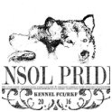 Ansol Pride logo