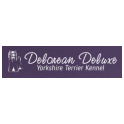 Delorean Deluxe logo