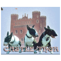 Castle Thor logo